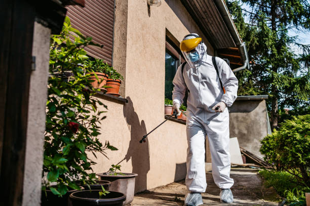 Best Wasp Removal Services  in Waipahu, HI